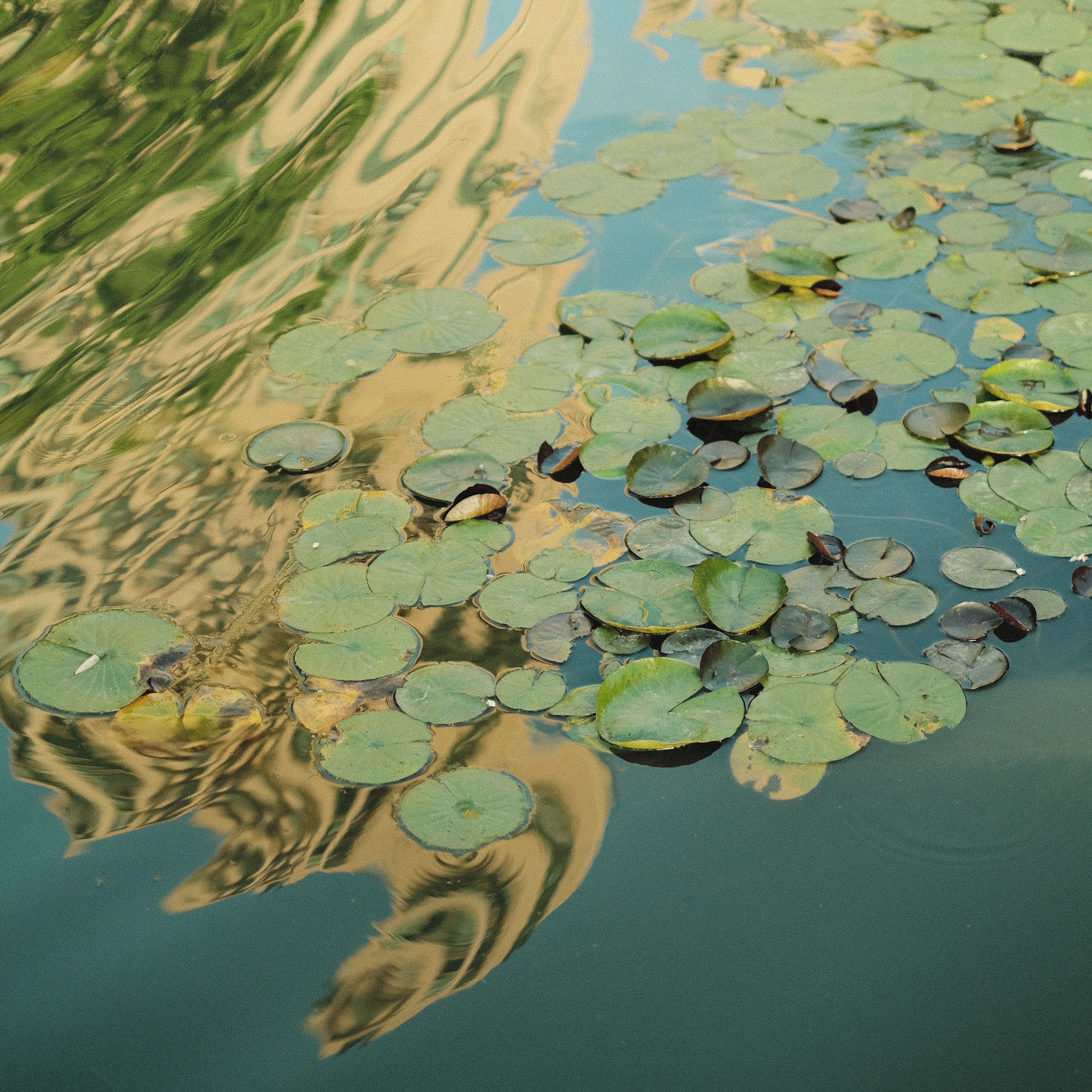 By Farid Al Faruq, 20MBBS