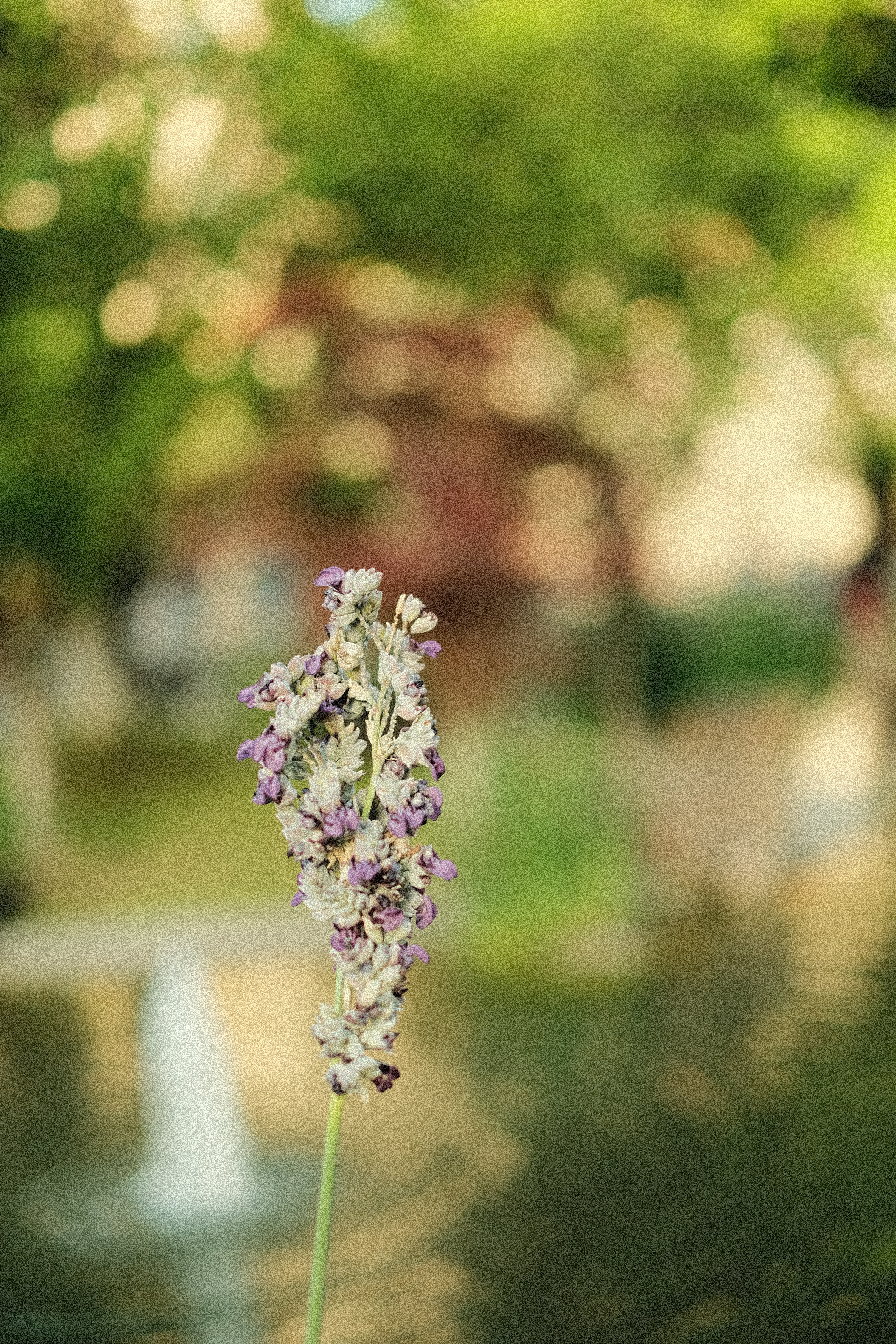 By Farid Al Faruq, 20MBBS