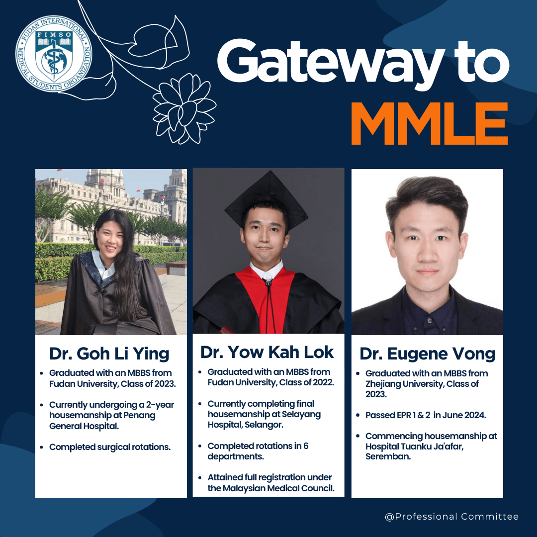 Gateway to MMLE
